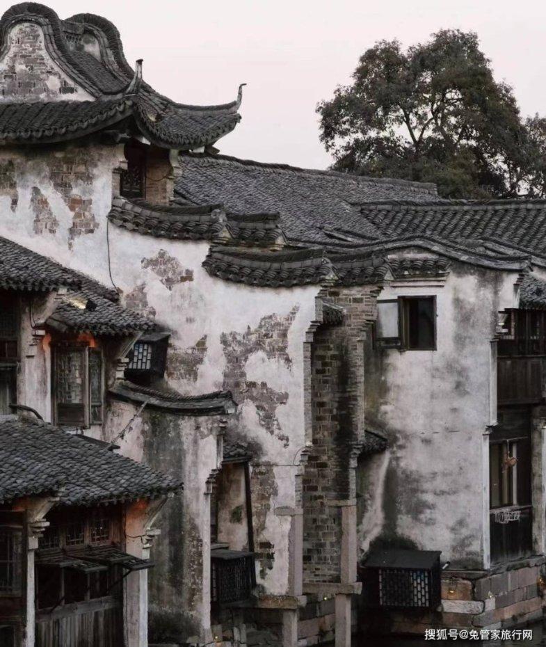 救援可爱的洋葱